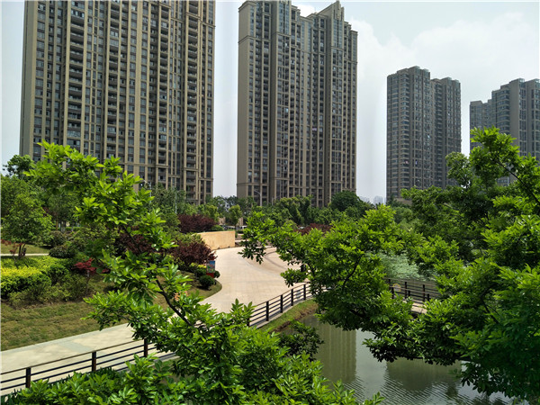 公园近景